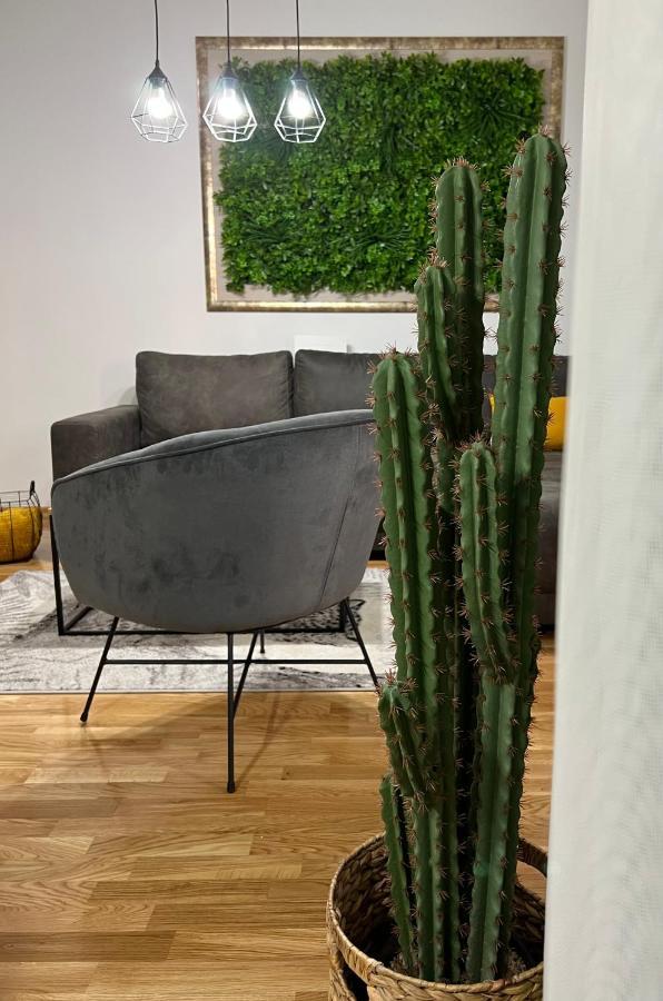 Jungle Lux Apartment Čačak Kültér fotó