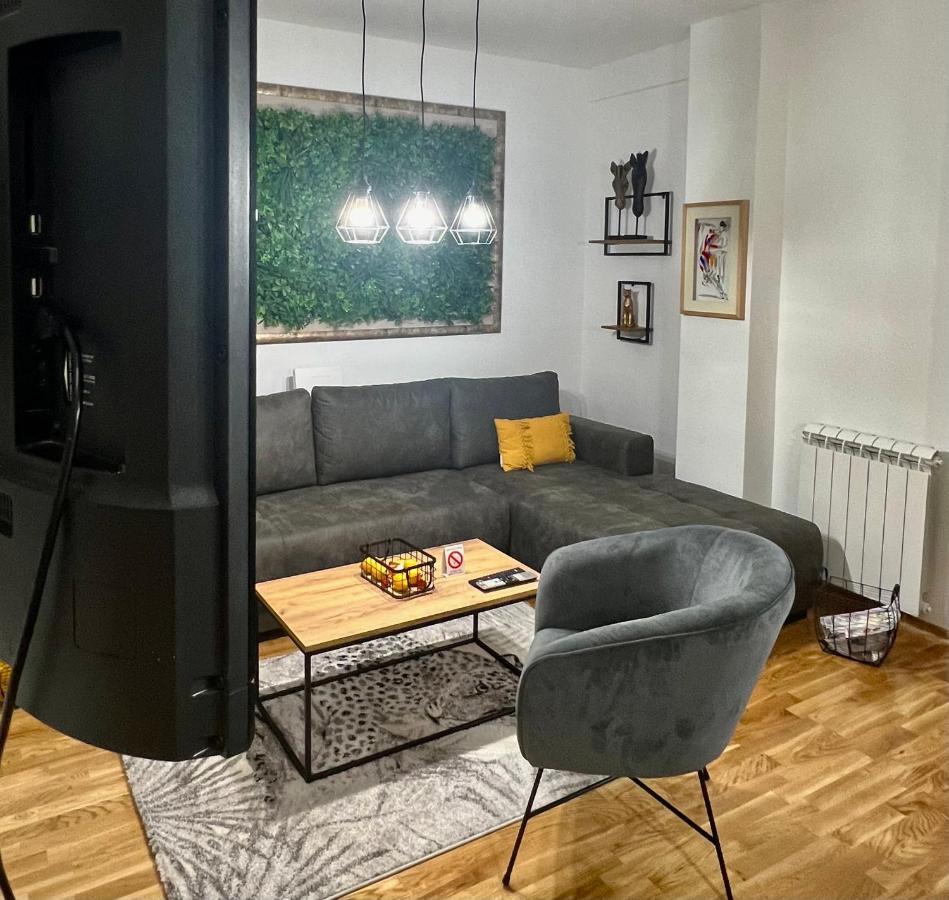 Jungle Lux Apartment Čačak Kültér fotó